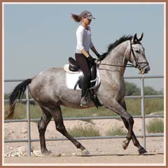 Bombay, ridden b Kailee Surplus, October 2007