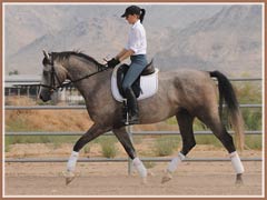 Kairro, July 2009, Kailee Surplus riding