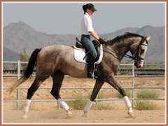 Kairro, July 2009, Kailee Surplus riding