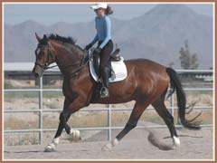 Kildare, ridden by Kailee Surplus, June 2008