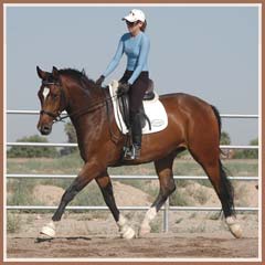 Kildare, ridden by Kailee Surplus, June 2008
