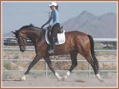 Kildare, ridden by Kailee Surplus, June 2008