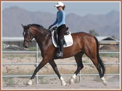 Kildare, ridden by Kailee Surplus, June 2008