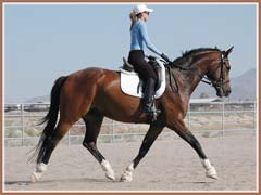 Kildare, ridden by Kailee Surplus, June 2008
