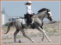 Santiago, June 2008, ridden by Kailee Surplus