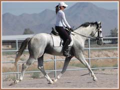 Santiago, June 2008, ridden by Kailee Surplus