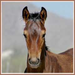 Tejon at 3.5 months